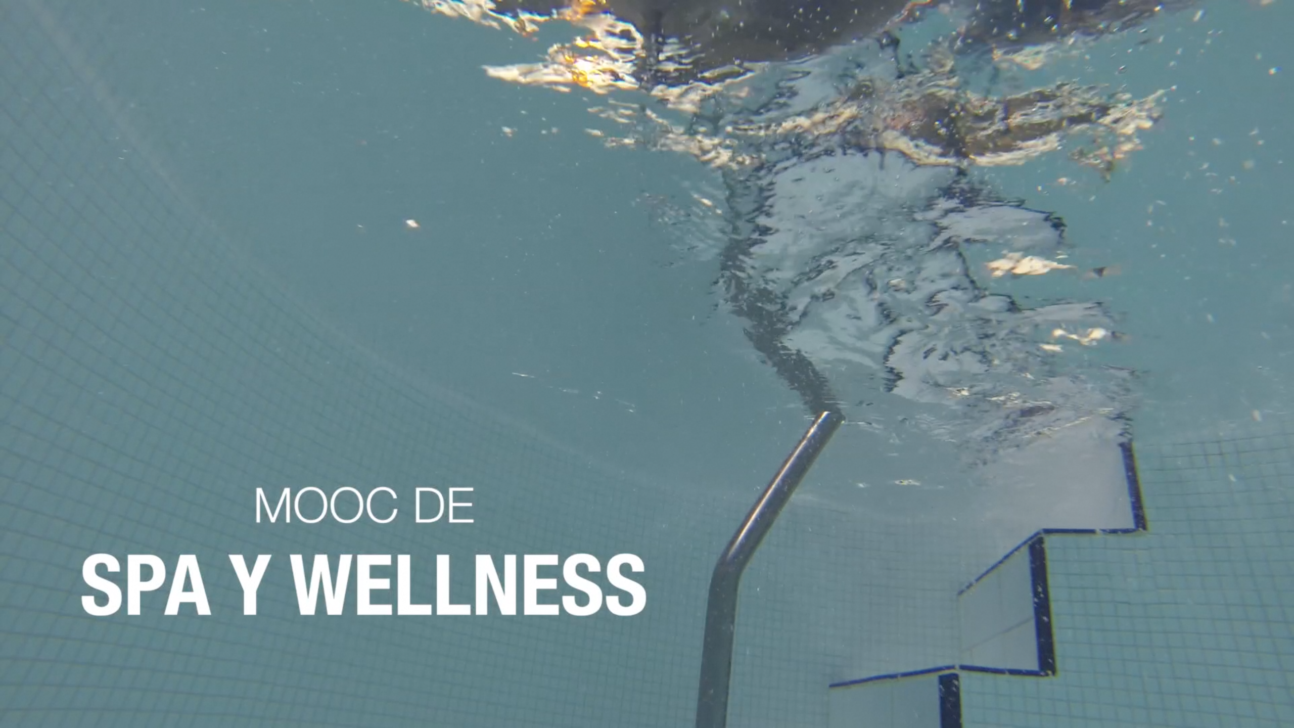 Termalismo, Spa y Wellness (6ª edición) FA020